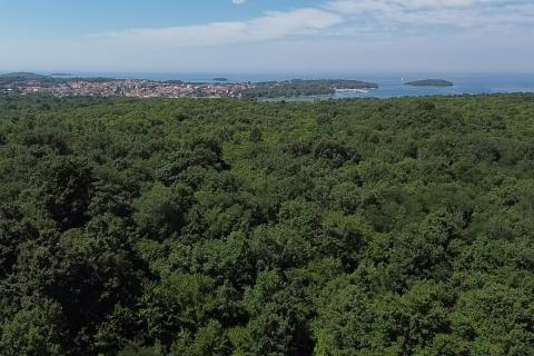 Non-structural plot Funtana, 6.176m2
