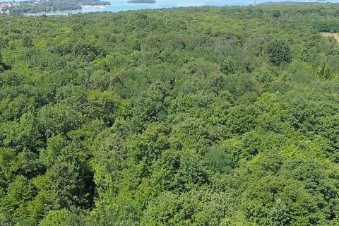 Non-structural plot Funtana, 6.176m2