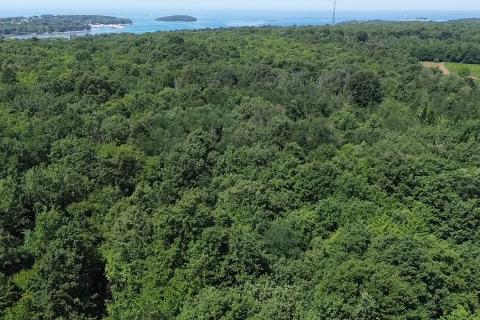Non-structural plot Funtana, 6.176m2
