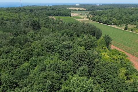 Non-structural plot Funtana, 6.176m2