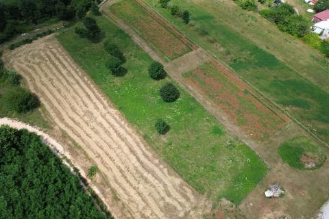 ISTRA, ŽMINJ - Lijepo građevinsko zemlji&scaron;te na povi&scaron;enoj poziciji