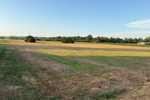 Building plot Hrebinec, Brckovljani, 11.504m2