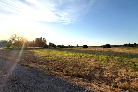 Building plot Hrebinec, Brckovljani, 11.504m2