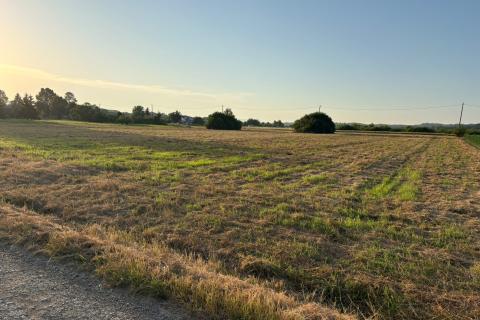 Building plot Hrebinec, Brckovljani, 11.504m2