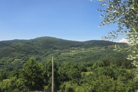 Istra,Buzet,Motovun-kamena kuća u nizu