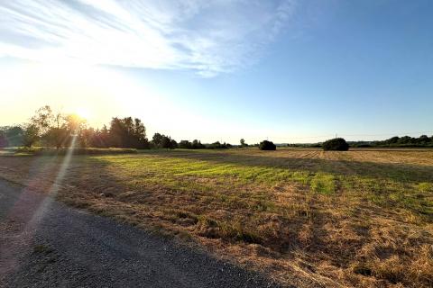 Building plot Hrebinec, Brckovljani, 3.683m2