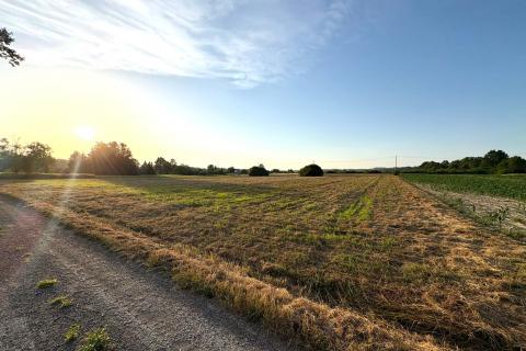 Building plot Hrebinec, Brckovljani, 3.683m2