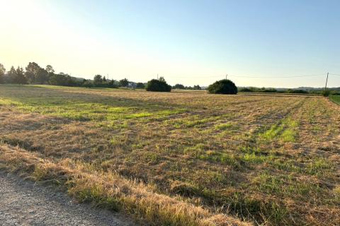 Building plot Hrebinec, Brckovljani, 3.586m2