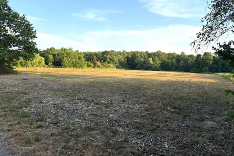 Terreno edificabile Hrebinec, Brckovljani, 11.312m2