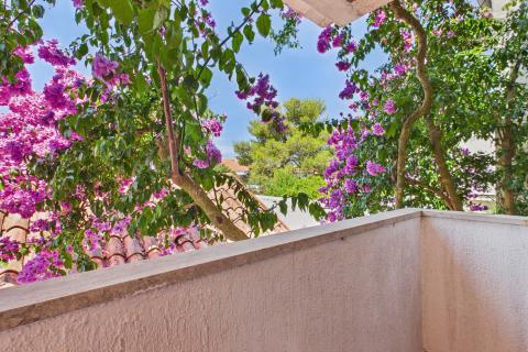 Casa Rovinj, 450m2