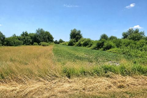 Terreno edificabile Rakitovec, Velika Gorica - Okolica, 4.215m2