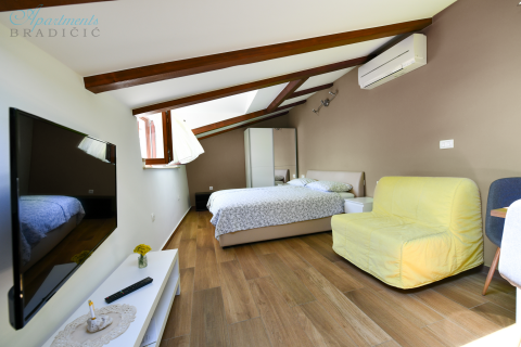 OPATIJA - MO&Scaron;ĆENIČKA DRAGA - 2 odvojena stana