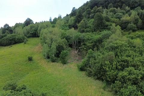 Stavbno zemlji&scaron;če Homer, Lokve, 8.000m2