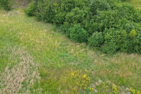 Stavbno zemlji&scaron;če Homer, Lokve, 8.000m2