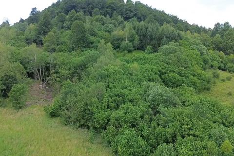 Stavbno zemlji&scaron;če Homer, Lokve, 8.000m2
