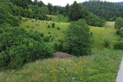 Stavbno zemlji&scaron;če Homer, Lokve, 8.000m2