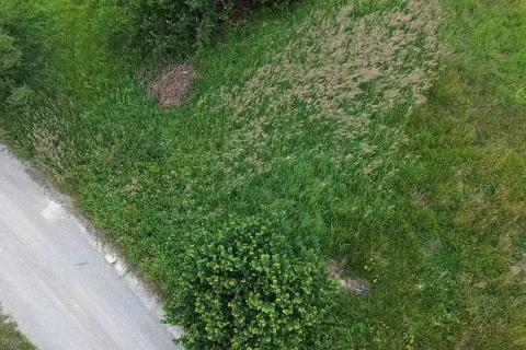 Stavbno zemlji&scaron;če Homer, Lokve, 8.000m2
