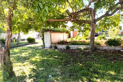 Istra,Brtonigla-Imanje s kućom 330 m&sup2; i 7.800 m&sup2; zemlji&scaron;ta