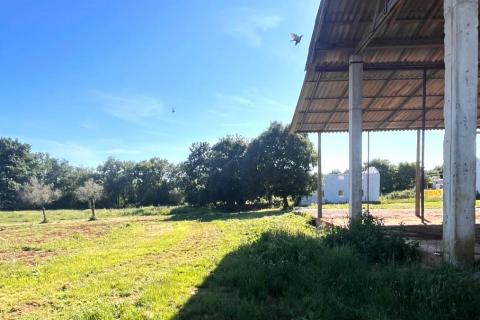 Istra,Brtonigla-Imanje s kućom 330 m&sup2; i 7.800 m&sup2; zemlji&scaron;ta