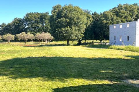 Istra,Brtonigla-Imanje s kućom 330 m&sup2; i 7.800 m&sup2; zemlji&scaron;ta